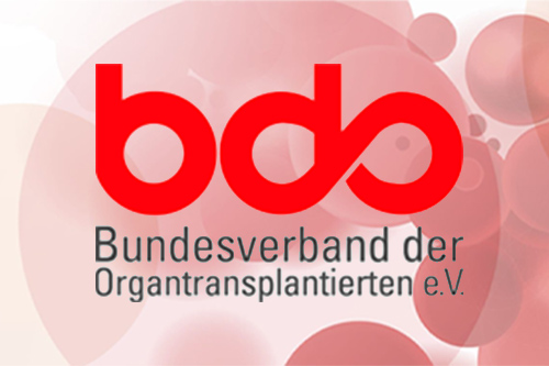 Neues Outfit für die Webseite des bdo