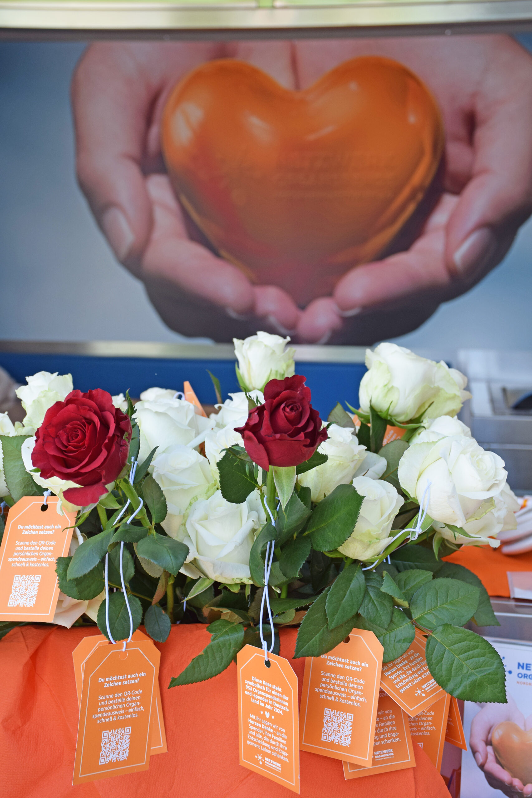 Tag der Organspende 2025 – Eine Rose für das geschenkte Leben