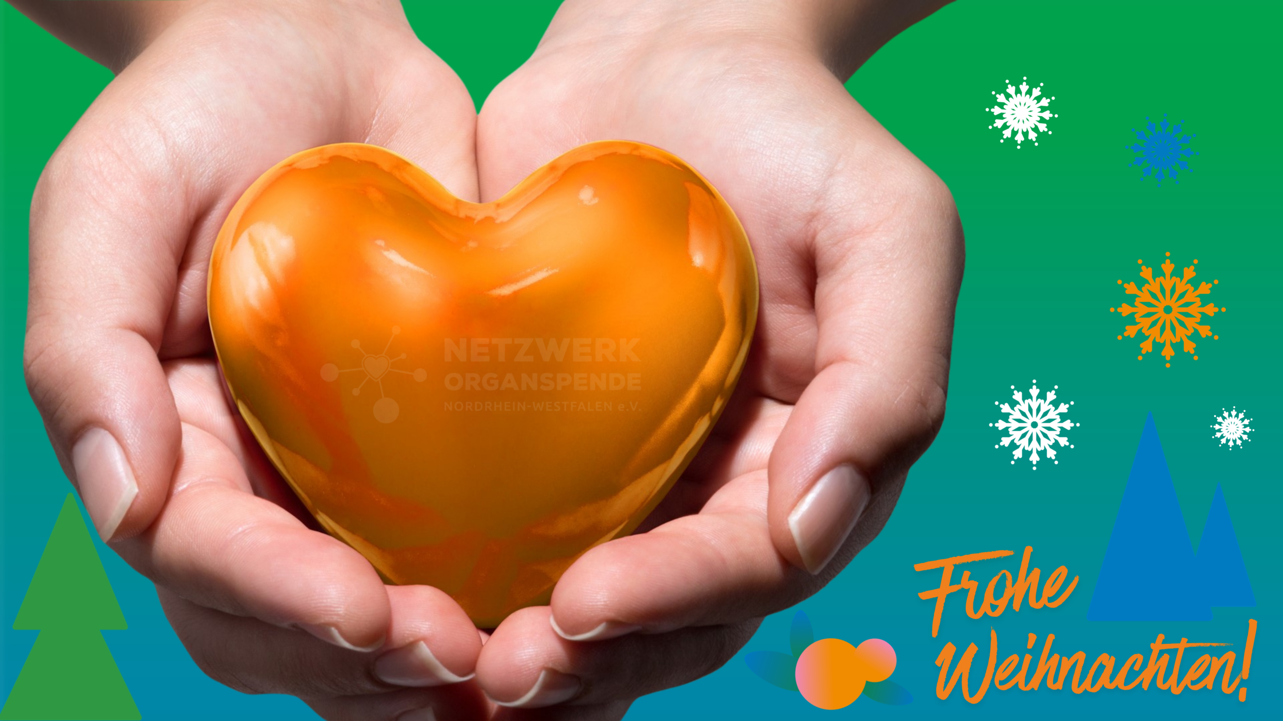 Weihnachten – Zeit des Dankes und der Zuversicht